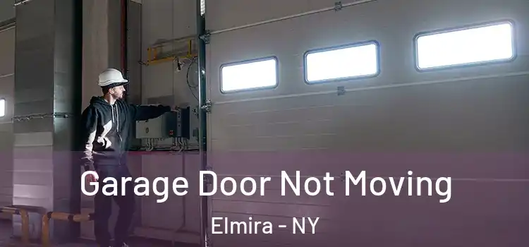  Garage Door Not Moving Elmira - NY