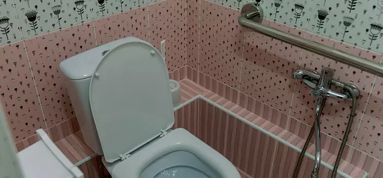 Meeting Diverse Needs With Accessible Restroom Solutions in Elmira, NY
