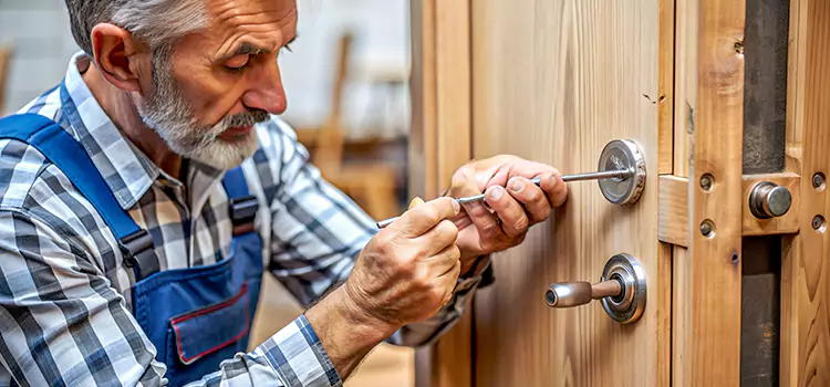 Mortise Replacement Lock Elmira