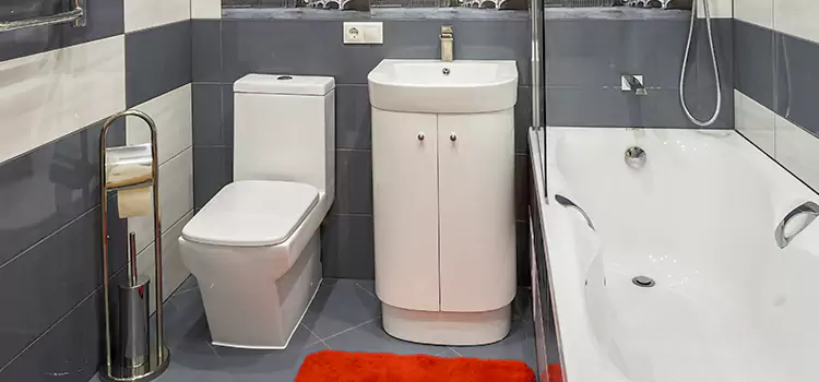 Hansgrohe Shaving Mirror Elmira