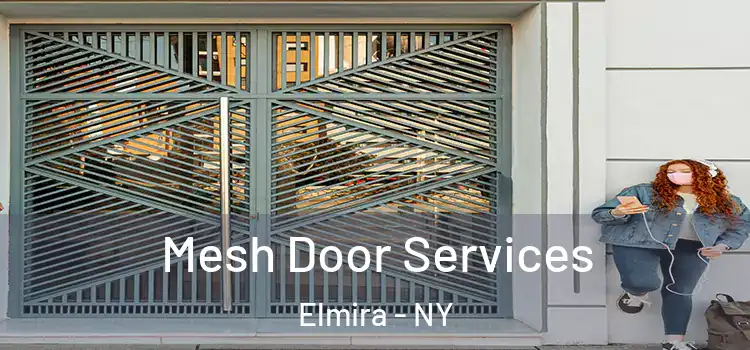  Mesh Door Services Elmira - NY